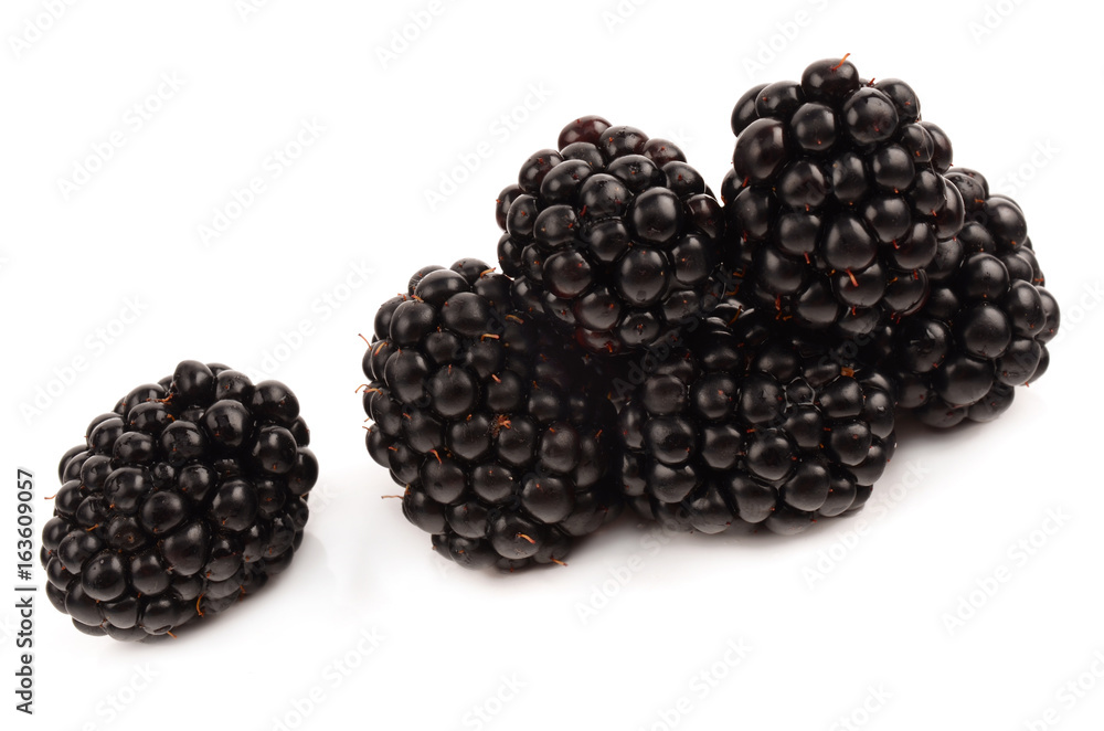 Poster blackberries on a white background