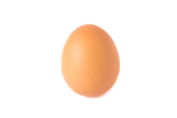 egg isolated