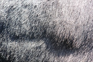 Close up of fur A donkey structure as a background