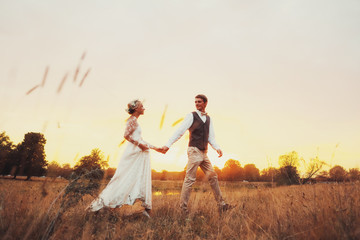 The bride and groom in wedding clothes are walking in the field 