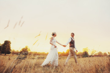 A couple in wedding clothes is walking in the field at sunset, the bride and groom.