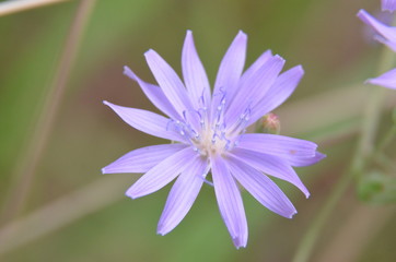 colours of nature