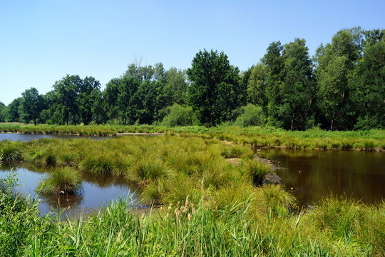 Biotop im Naturpark SCHWALM-NETTE ( Niederhein )