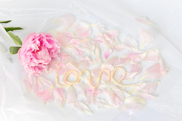 Delicate background with pink peony, peony petals and pearls