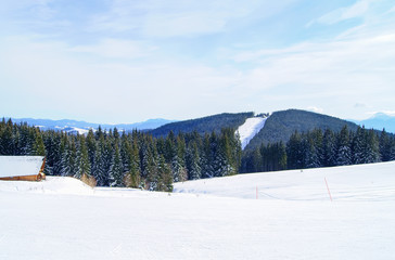 View of the ski slopes. Mountains, forest, blue sky in winter in the Carpathians