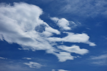  不思議な雲のかたち・青空と雲「空想・雲のモンスターたち」流れる、不思議、何か、異次元、面白いなどのイメージ