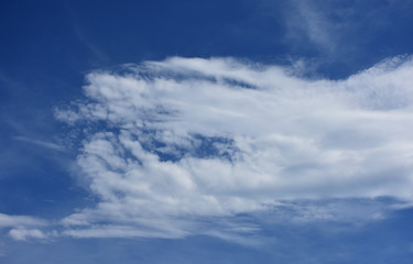  青空と雲「空想・雲のモンスターたち〔何かに向かって邁進する雄モンスター（下の両目が見えるモンスター）と雌（上）、その間に子供がいるイメージ〕邁進、目標、進む、睨む、仲良く、親子連れ、家族愛、子育てなどのイメージ