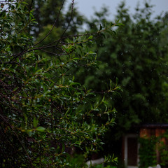White cup of fragrant cappuccino stand on a wooden table. Coffee with milk  on the table, front view.
