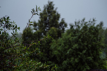White cup of fragrant cappuccino stand on a wooden table. Coffee with milk  on the table, front view.