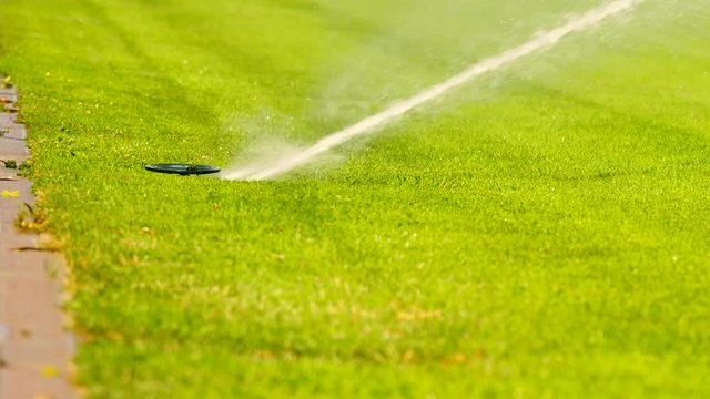Lawn grass on the football field sprinkles water in summer.  Sprinkler Watering a Sports Field