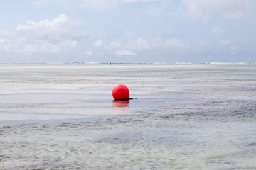 Low Tide In Zanzibar
