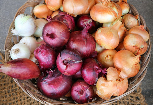 Red and white onions for sale by the fruit grower