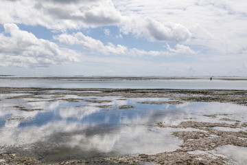 Low Tide In Zanzibar