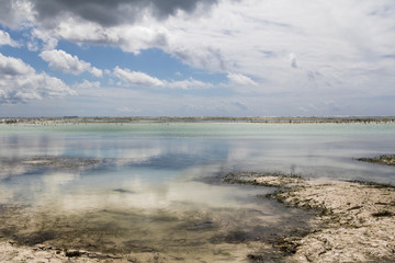 Low Tide In Zanzibar