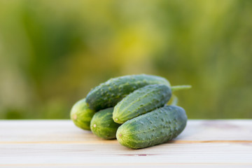 Fresh cucumbers on the wooden background