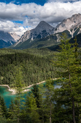 Scenery from the mountains to the large pine tree forest  in Alpine area of Austria