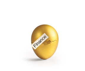 golden  easter egg isolated