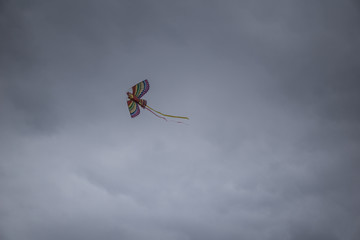 kite on the sky