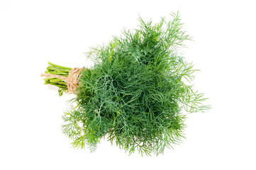 Bunch of dill tied with a rope. Juicy green dill isolated on white background