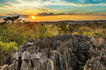 Gordijnen Beautiful sunset view on the unique geography at the Tsingy de Bemaraha Strict Nature Reserve in Madagascar © dennisvdwater