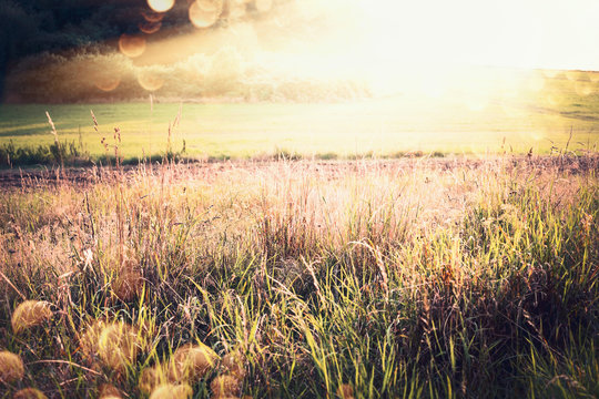 Beautiful  autumn or late summer country landscape with grass, field and sunbeams, outdoor nature background