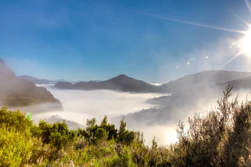 Gordijnen Mystic and surreal landscape with morning fog in the mountains on way to the Cradle Mountain-Lake St Clair National Park, Tasmania, Australia. Copy space. © bennymarty