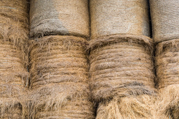 Hay Bales