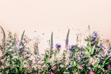 Various herbs and flowers on pink pale background, top view, floral border