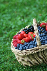 basket with berries standing on grass