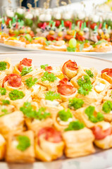 Delicacies and snacks at a buffet or Banquet. Catering