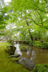 Obraz premium 兼六園にて