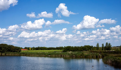 Fototapeta na wymiar landscape with river and nature in the countryside.