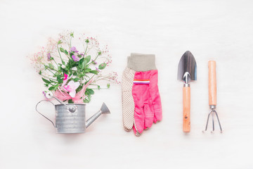 Female Gardening workspace, garden tools with flowers in watering can on white wooden background, top view, flat lay