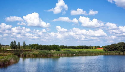 Obraz premium river and nature in the countryside.