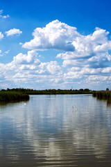 beautiful summer landscape, river.