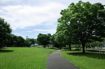 Fototapeta na wymiar 初夏の公園
