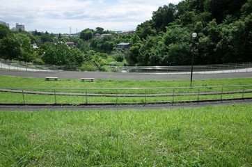 Fototapeta premium 初夏の公園