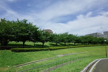 初夏の公園