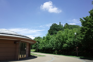 初夏の公園
