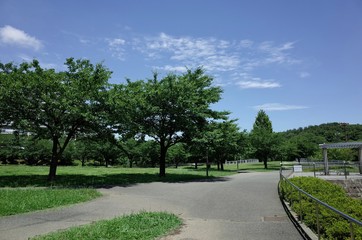 初夏の公園