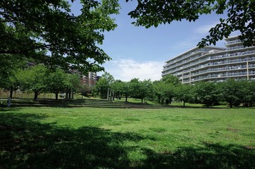 初夏の公園