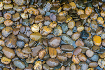 Beach stones
