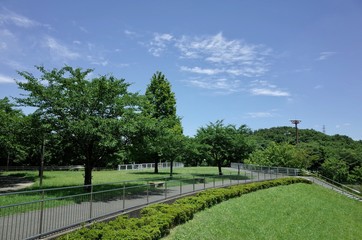 初夏の公園