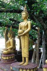 Buddha under Bo tree in Lao temple, Laos