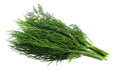 bunch fresh, green dill on a white background