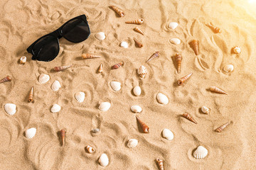 Sunglasses and seashell on beach sand background, summer holiday vacation background