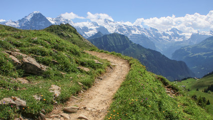 Fototapeta na wymiar Bernese Alps