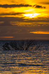 Naklejka premium Golden sunset at Weeroona Island located in Germein Bay South Australia