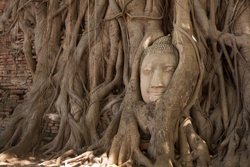 Buddha head statue in Phra Nakhon Si Ayutthaya Thailand