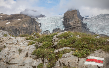 Bernese Alps